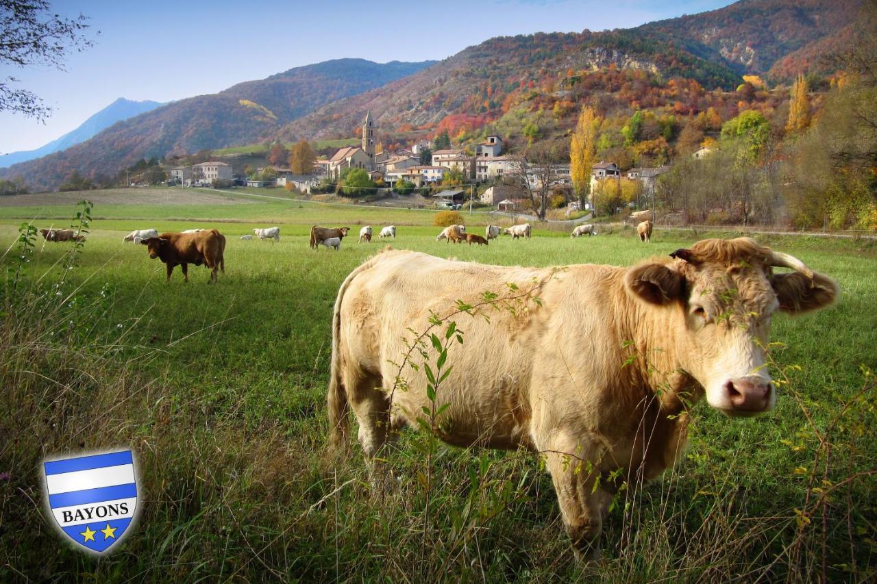 Gite La Taniere Des Alpes Bayons Eksteriør billede